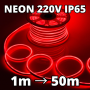 Néon LED IP65 220V rouge